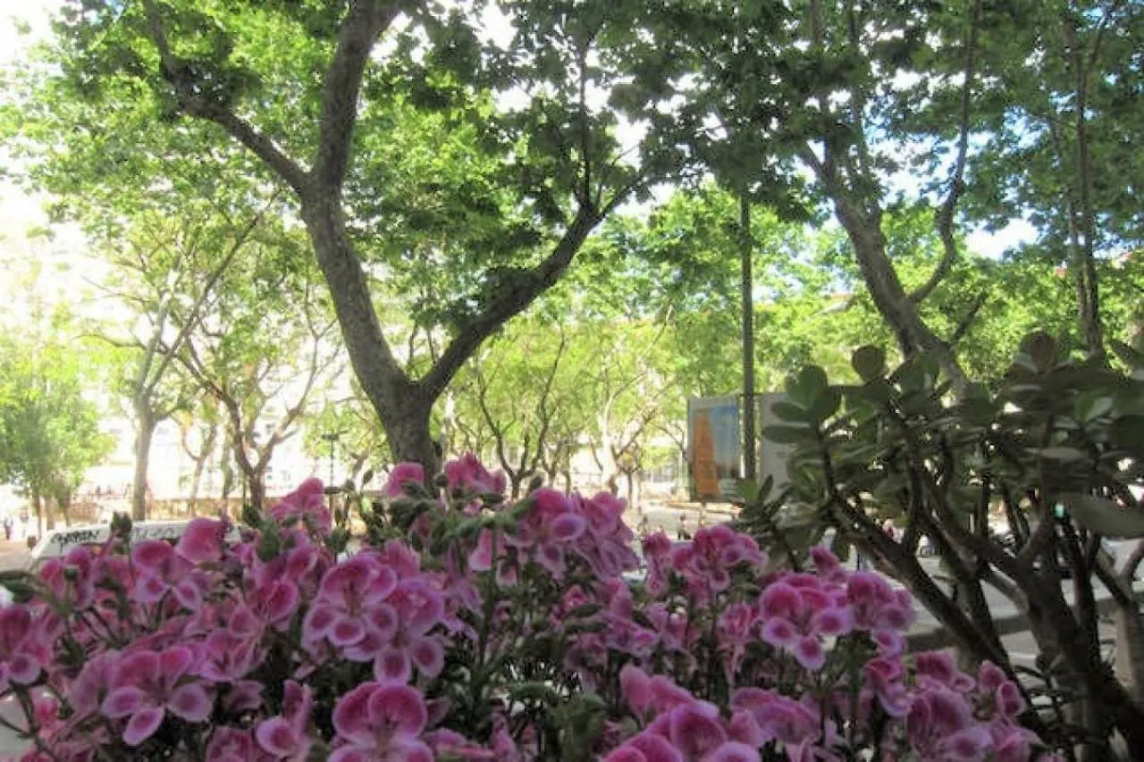 Sant Antoni Lovely Apartment برشلونة إسبانيا